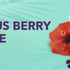 Hibiscus Berry Sunrise Drink