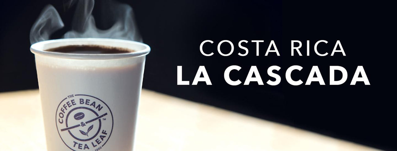 Costa Rica La Cascada