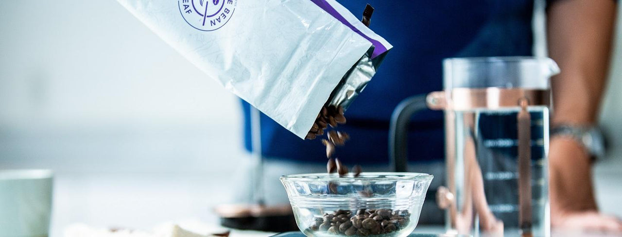 Person Pouring Coffee Beans