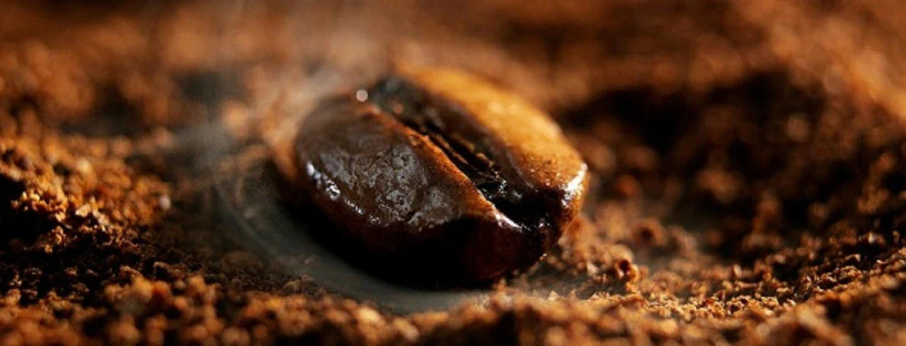 Coffee Bean in Coffee Grounds