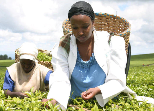 Farmer At A Plantation