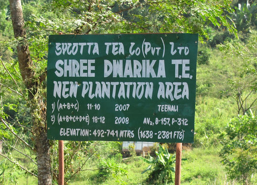 Tea Sourcing Plantation Sign