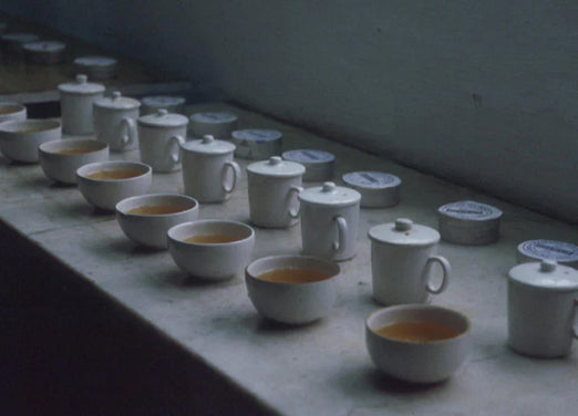 Tea Sourcing Tea Cups Lined Up